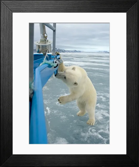 Framed Print : DDE-90034236 Framed Print : DDE-90034236