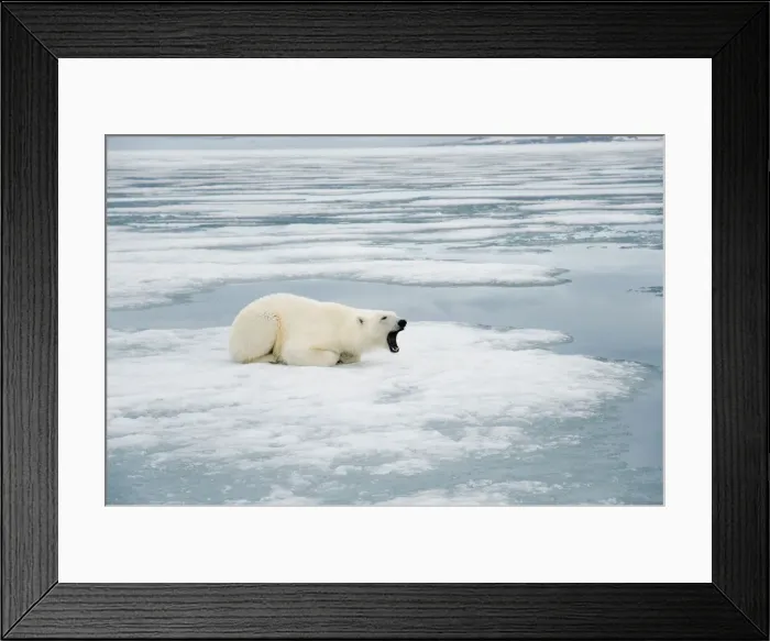 Framed Print : DDE-90034238