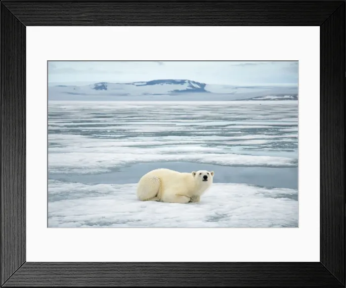Framed Print : DDE-90034239 Framed Print : DDE-90034239