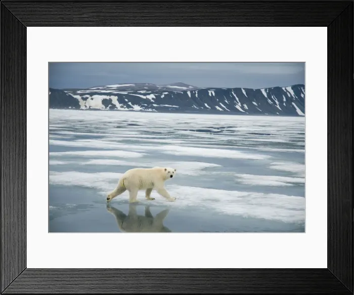 Framed Print : DDE-90034241 Framed Print : DDE-90034241