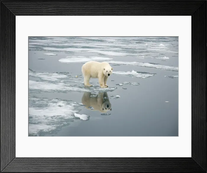 Framed Print : DDE-90034244 Framed Print : DDE-90034244