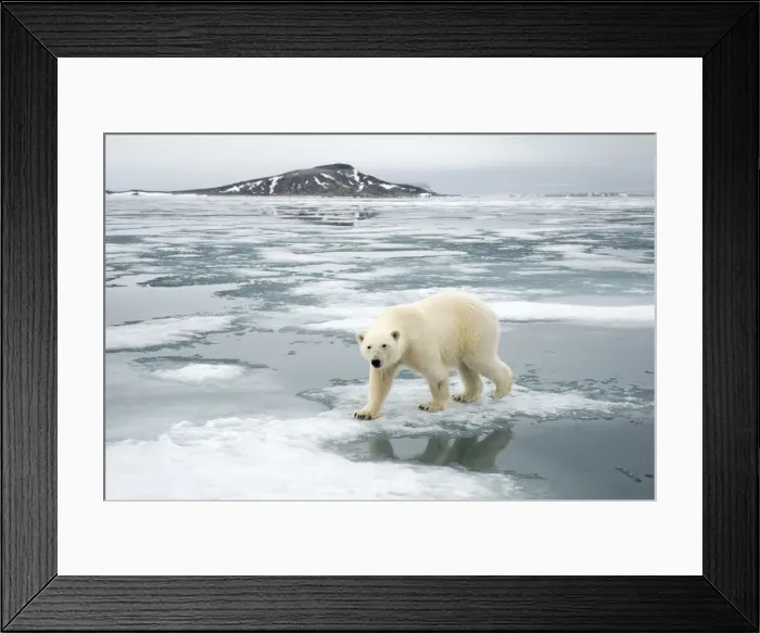 Framed Print : DDE-90034245 Framed Print : DDE-90034245