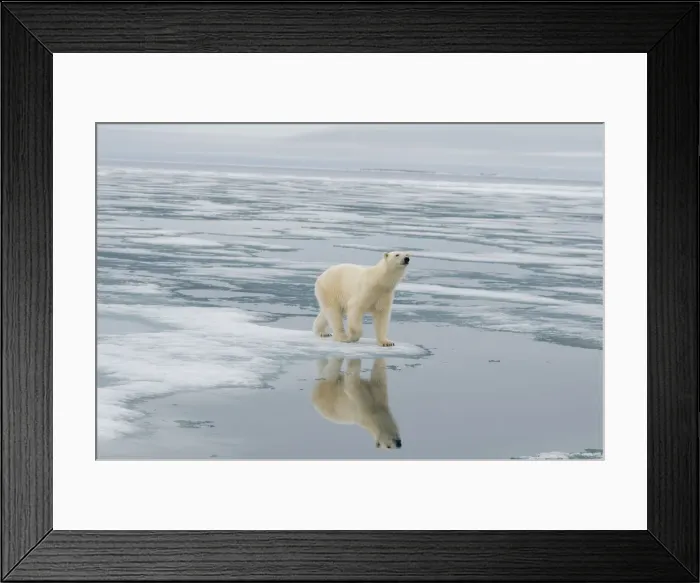 Framed Print : DDE-90034242 Framed Print : DDE-90034242