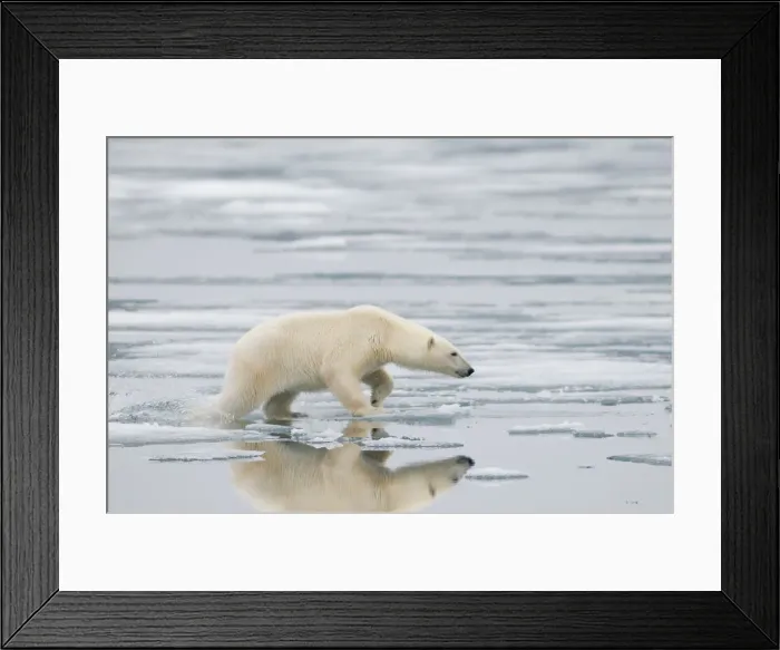 Framed Print : DDE-90034246 Framed Print : DDE-90034246