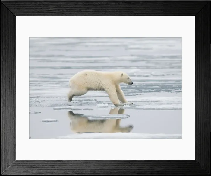 Framed Print : DDE-90034247 Framed Print : DDE-90034247