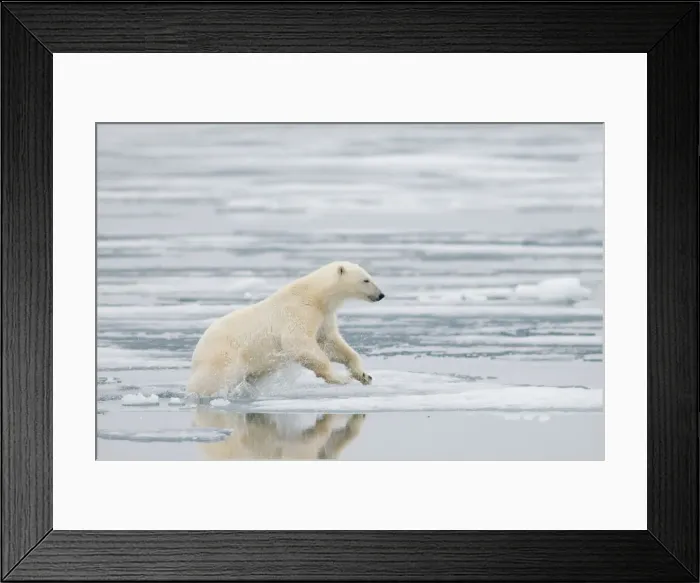 Framed Print : DDE-90034249