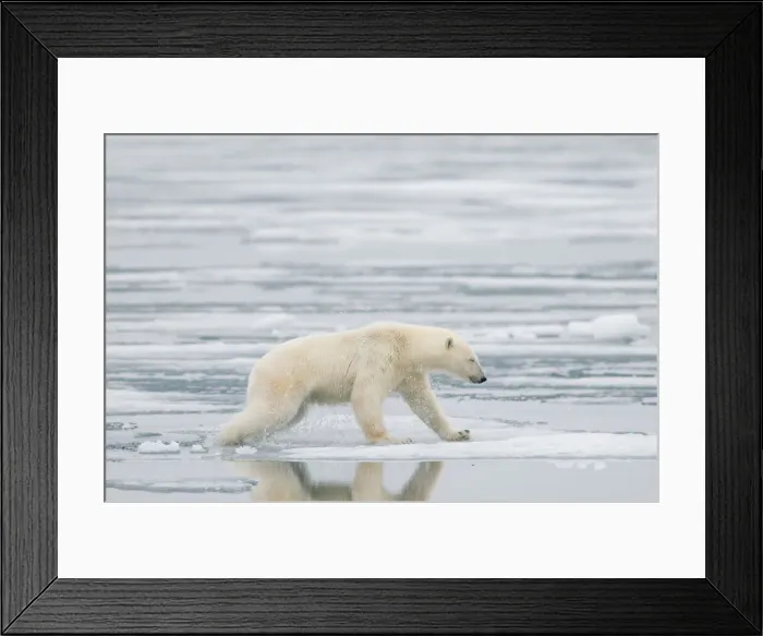 Framed Print : DDE-90034250 Framed Print : DDE-90034250