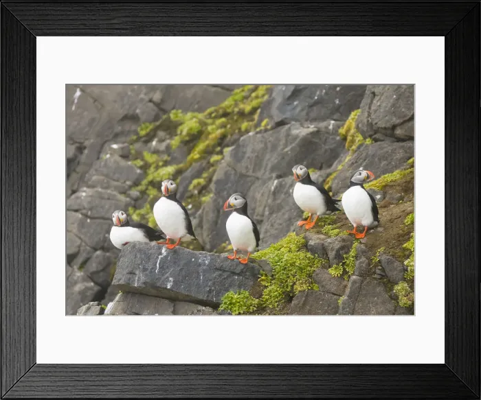 Framed Print : DDE-90034270