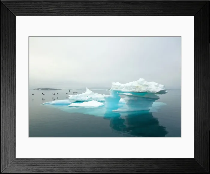 Framed Print : DDE-90034280 Framed Print : DDE-90034280
