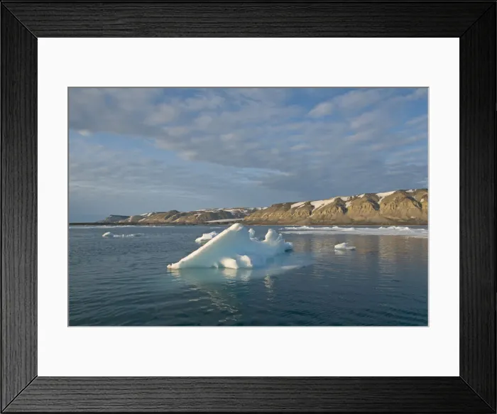 Framed Print : DDE-90034282
