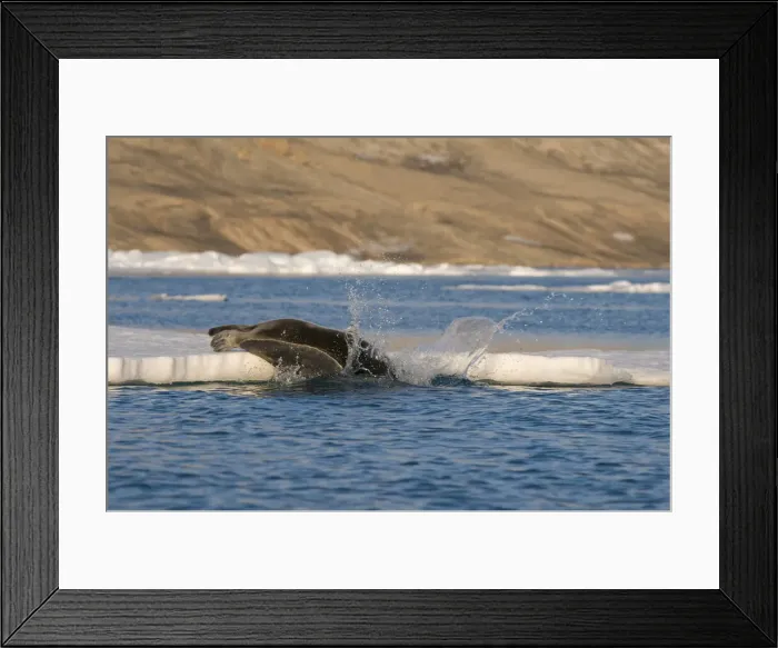 Framed Print : DDE-90034285 Framed Print : DDE-90034285