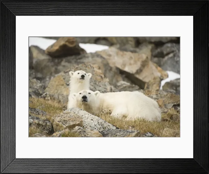 Framed Print : DDE-90034299 Framed Print : DDE-90034299