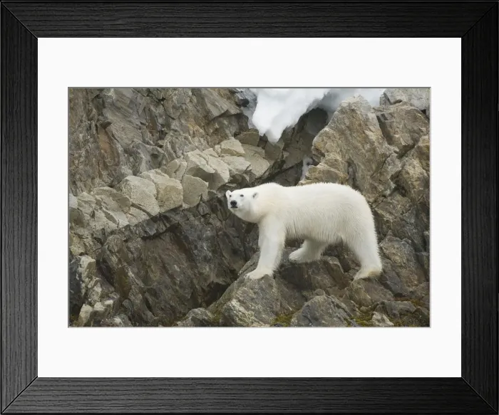 Framed Print : DDE-90034301 Framed Print : DDE-90034301