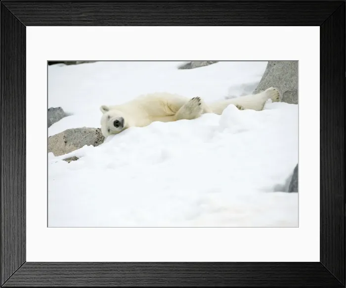 Framed Print : DDE-90034303 Framed Print : DDE-90034303