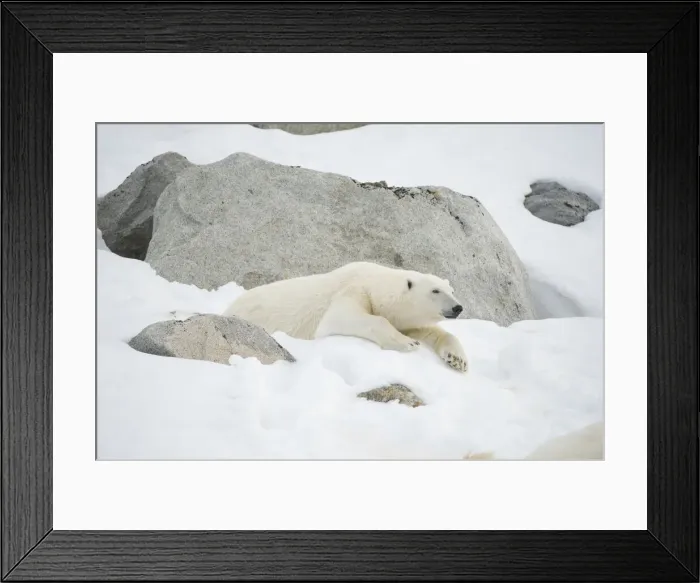 Framed Print : DDE-90034305 Framed Print : DDE-90034305