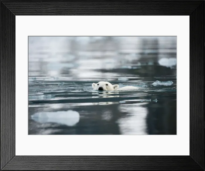 Framed Print : DDE-90034306