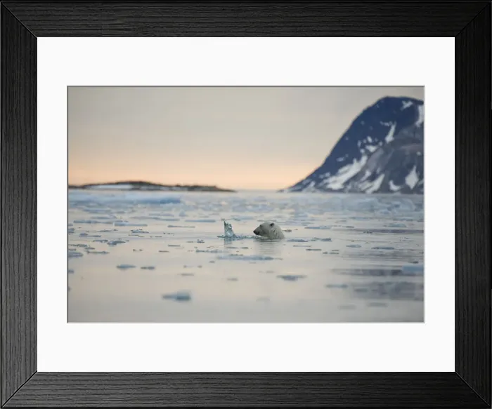 Framed Print : DDE-90034308 Framed Print : DDE-90034308