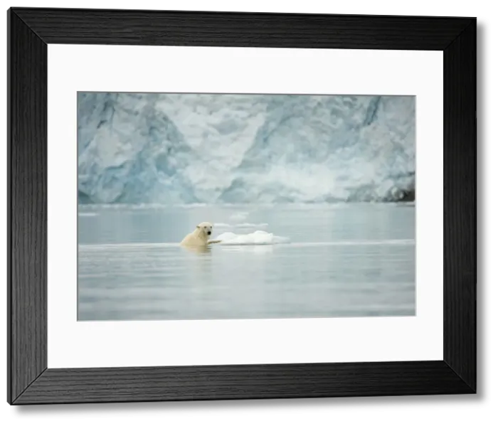 Framed Print : DDE-90034307 Framed Print : DDE-90034307