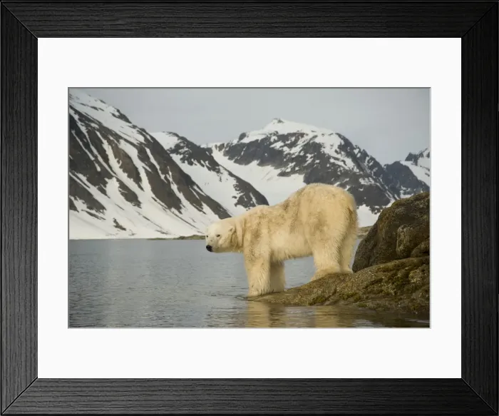 Framed Print : DDE-90034314