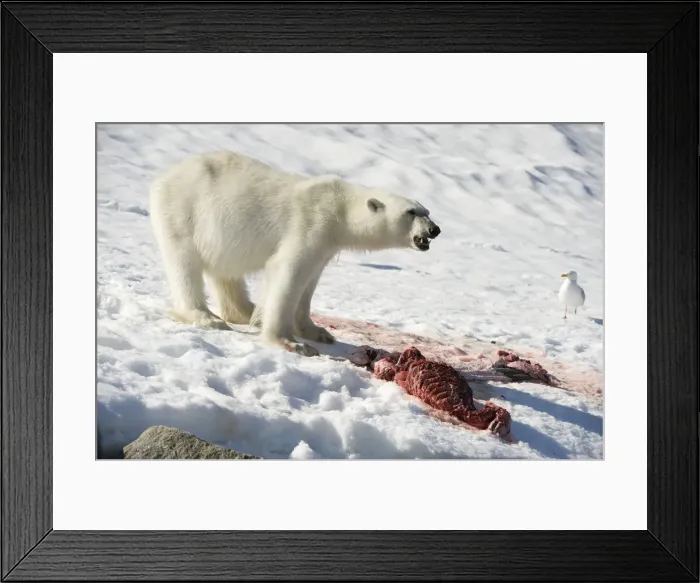 Framed Print : DDE-90034316 Framed Print : DDE-90034316