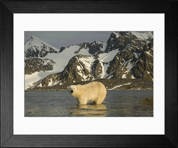 Framed Print : DDE-90034315 Framed Print : DDE-90034315
