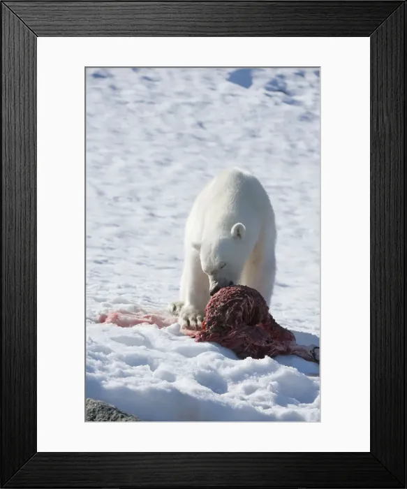 Framed Print : DDE-90034317 Framed Print : DDE-90034317
