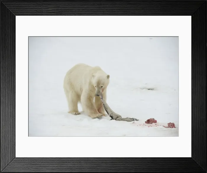 Framed Print : DDE-90034319 Framed Print : DDE-90034319