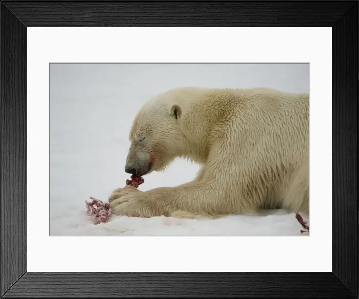 Framed Print : DDE-90034318 Framed Print : DDE-90034318