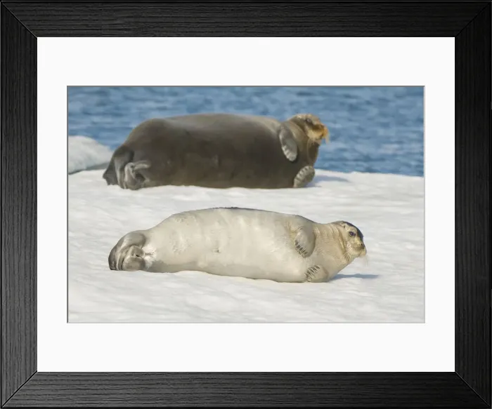 Framed Print : DDE-90034322 Framed Print : DDE-90034322