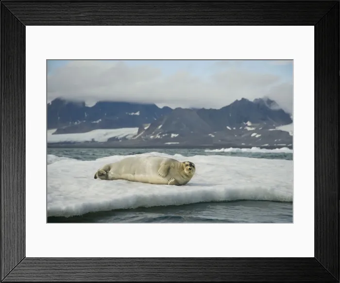 Framed Print : DDE-90034324 Framed Print : DDE-90034324