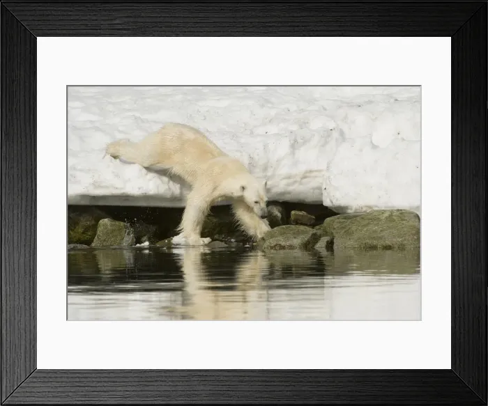 Framed Print : DDE-90034353 Framed Print : DDE-90034353
