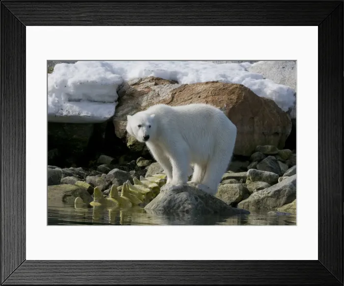 Framed Print : DDE-90034354