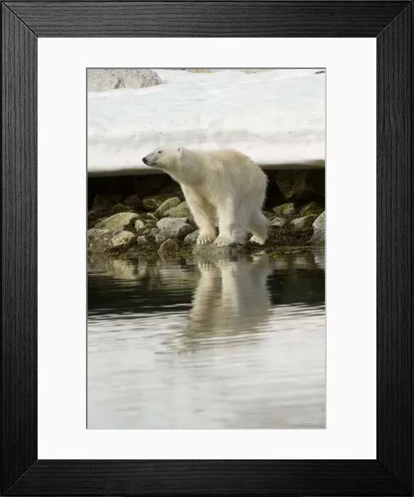 Framed Print : DDE-90034355 Framed Print : DDE-90034355