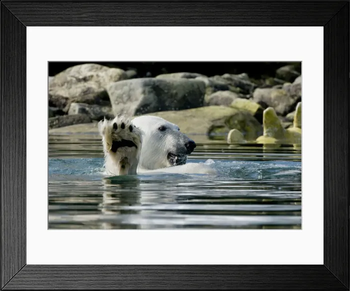 Framed Print : DDE-90034359 Framed Print : DDE-90034359