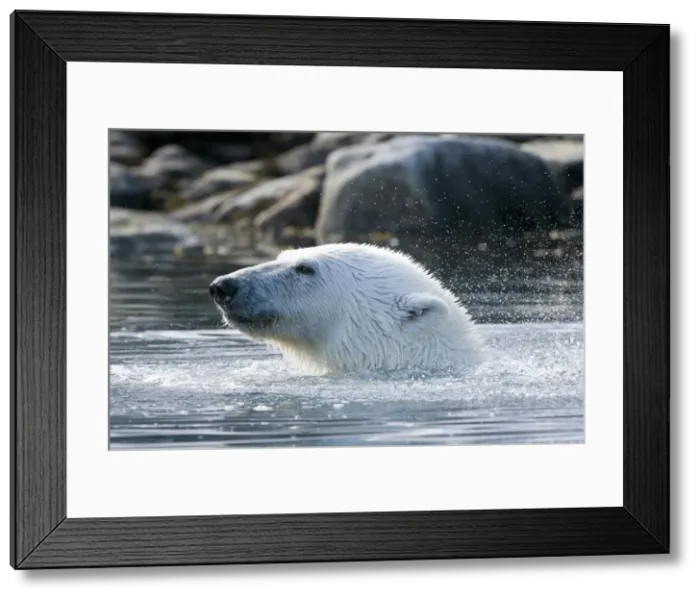 Framed Print : DDE-90034361 Framed Print : DDE-90034361