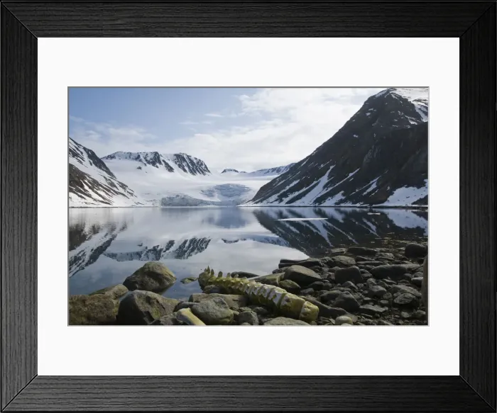 Framed Print : DDE-90034362 Framed Print : DDE-90034362