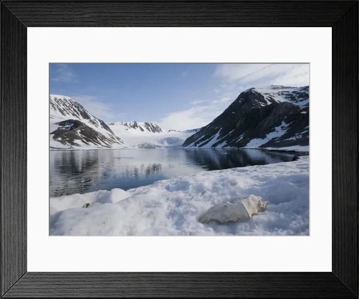 Framed Print : DDE-90034363 Framed Print : DDE-90034363