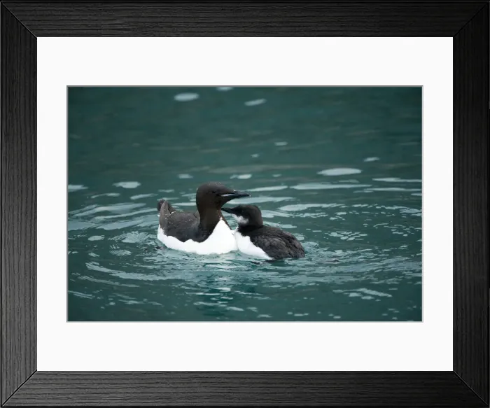 Framed Print : DDE-90034366 Framed Print : DDE-90034366