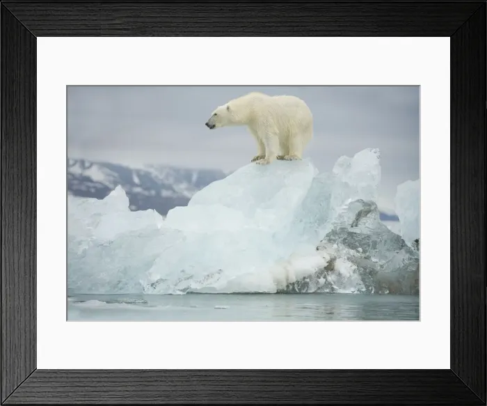 Framed Print : DDE-90034377 Framed Print : DDE-90034377