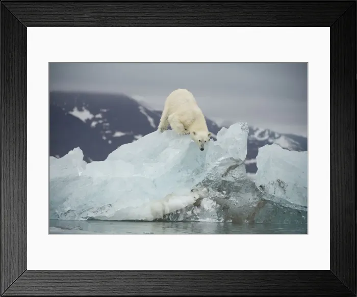 Framed Print : DDE-90034378 Framed Print : DDE-90034378