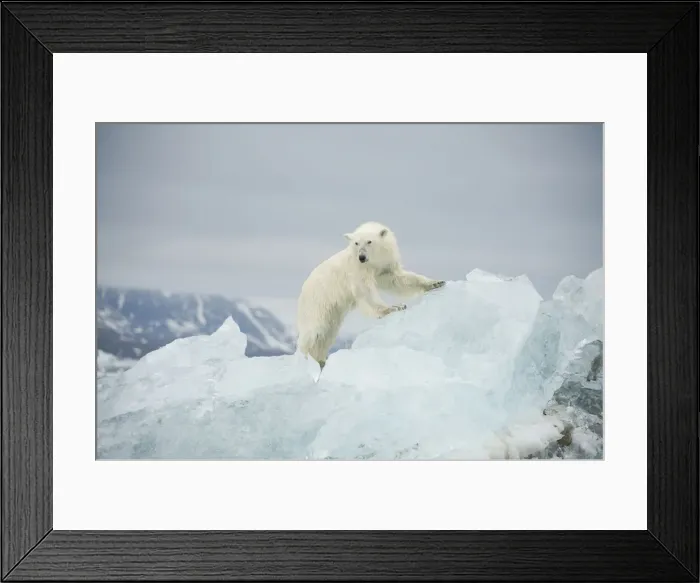 Framed Print : DDE-90034380