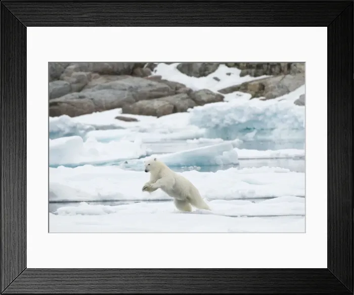 Framed Print : DDE-90034382 Framed Print : DDE-90034382