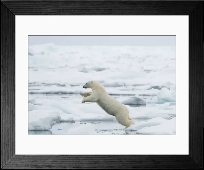 Framed Print : DDE-90034383 Framed Print : DDE-90034383