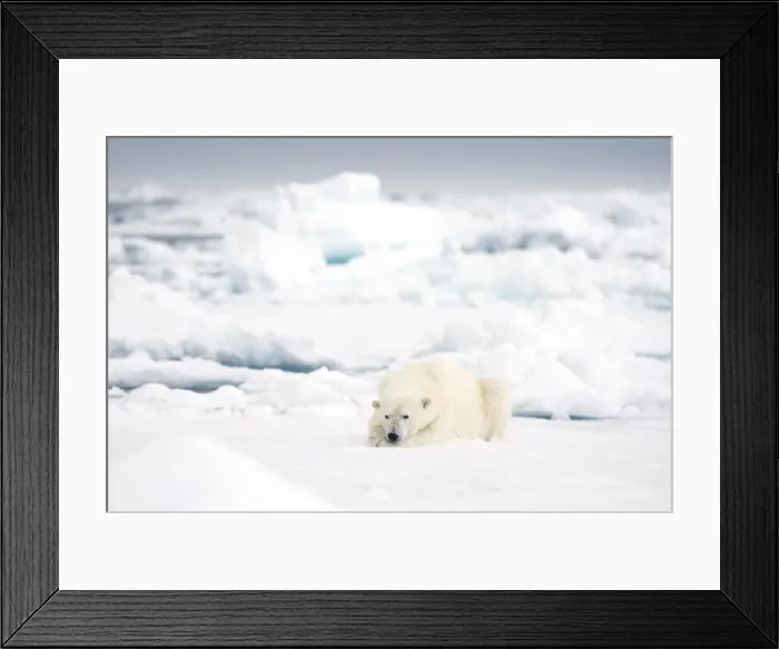 Framed Print : DDE-90034385 Framed Print : DDE-90034385
