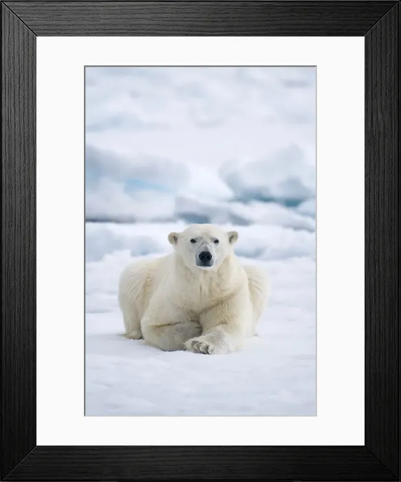Framed Print : DDE-90034387 Framed Print : DDE-90034387