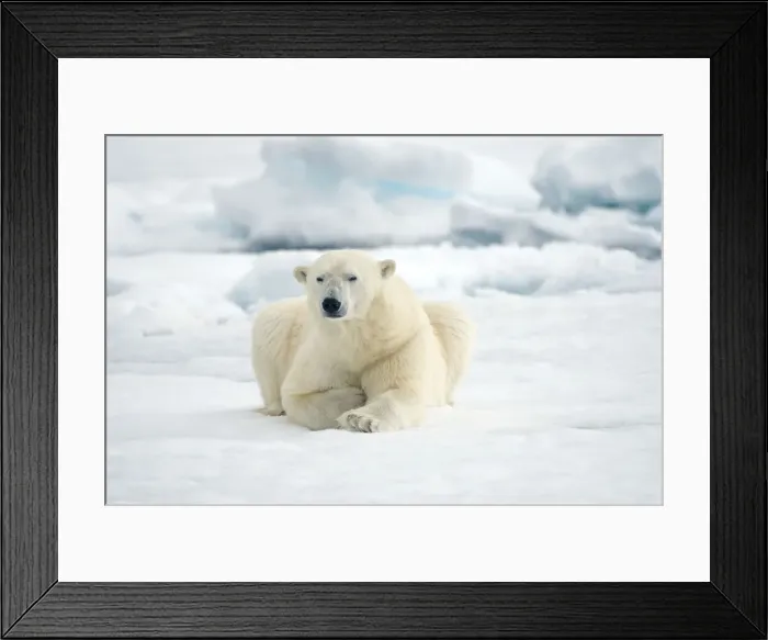 Framed Print : DDE-90034386