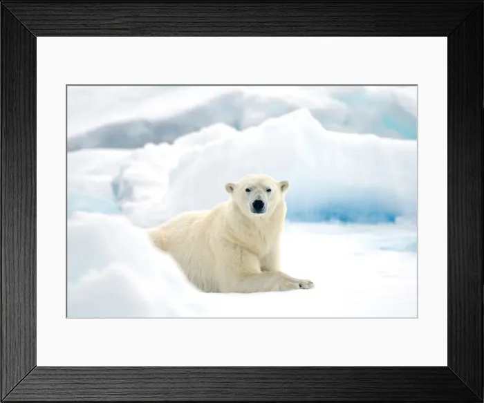 Framed Print : DDE-90034388 Framed Print : DDE-90034388