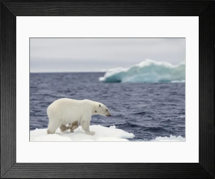 Framed Print : DDE-90034389