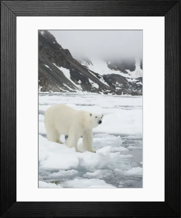 Framed Print : DDE-90034390
