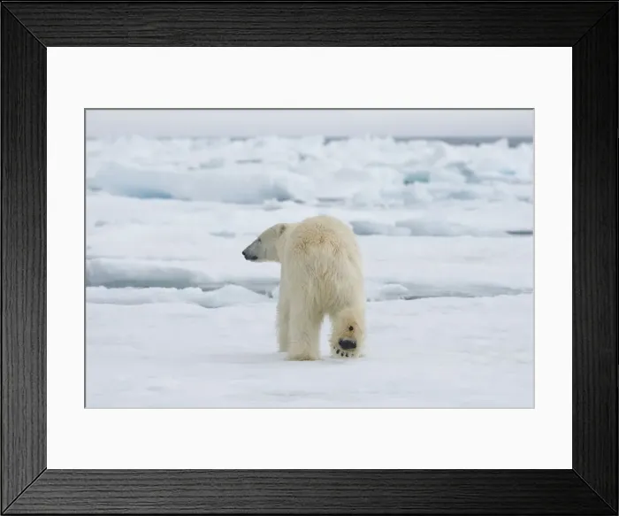 Framed Print : DDE-90034392 Framed Print : DDE-90034392